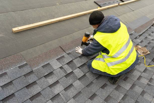 Roof Gutter Cleaning in East Rockingham, NC